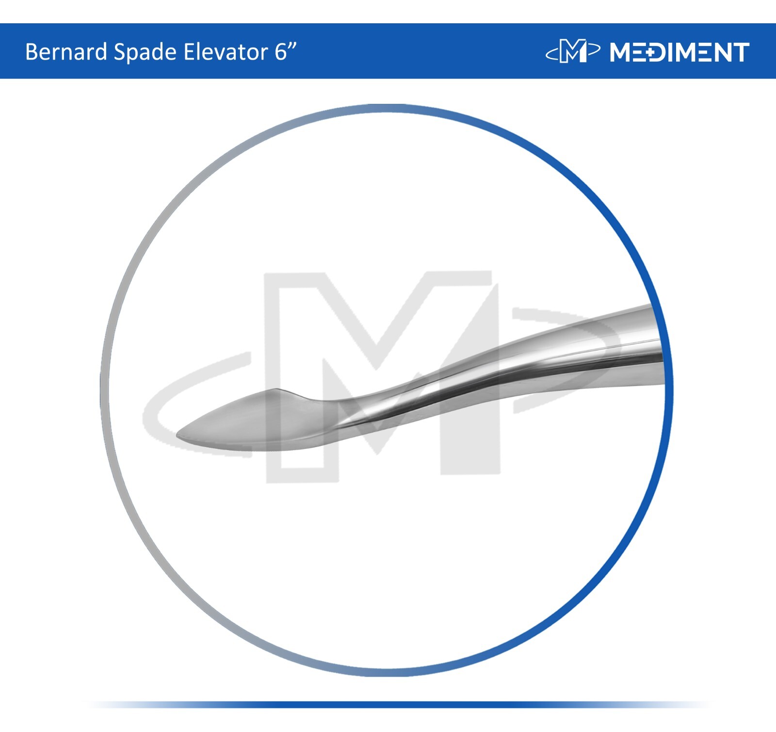 Dental Surgery Elevator Bernard Spade 6” Length Root Extraction, Teeth Luxating