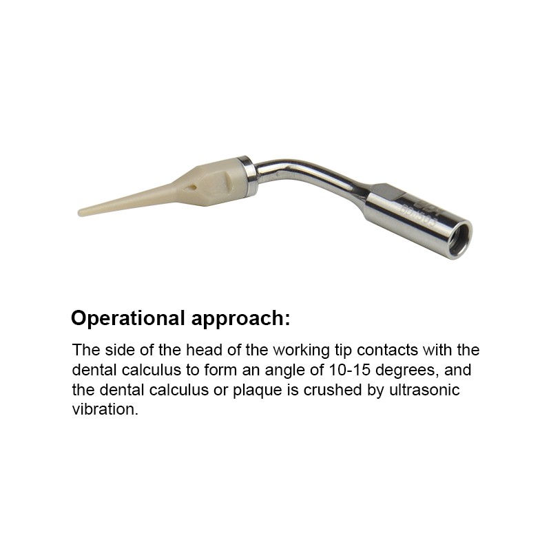 Ultrasonic Dental Scaler Tips Cleaning Implant Orthodontic Fit for SATELEC / DTE