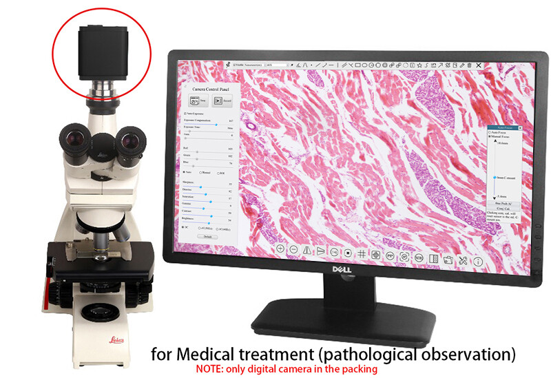 4K / 1080P 8MP 30FPS HDMI USB WIFI Industry Microscope Camera Sony IMX334 Sensor
