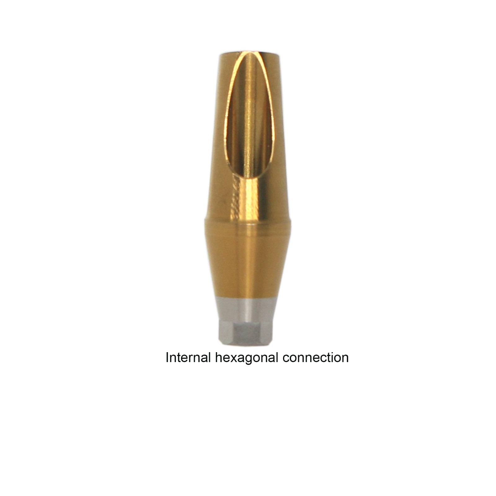 US Ti Dental Angled Abutment 17° Hex fits HIOSSEN DIO DFII Neo Biotech Implants