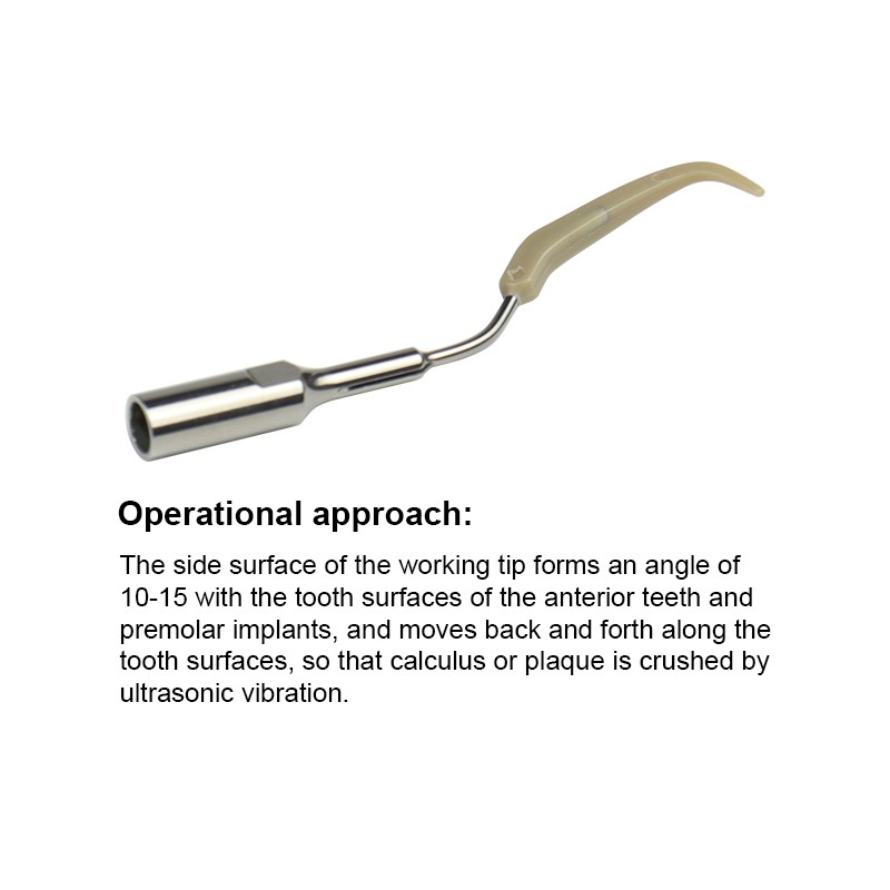 Ultrasonic Dental Scaler Tips Cleaning Implant Orthodontic Fit for SATELEC / DTE