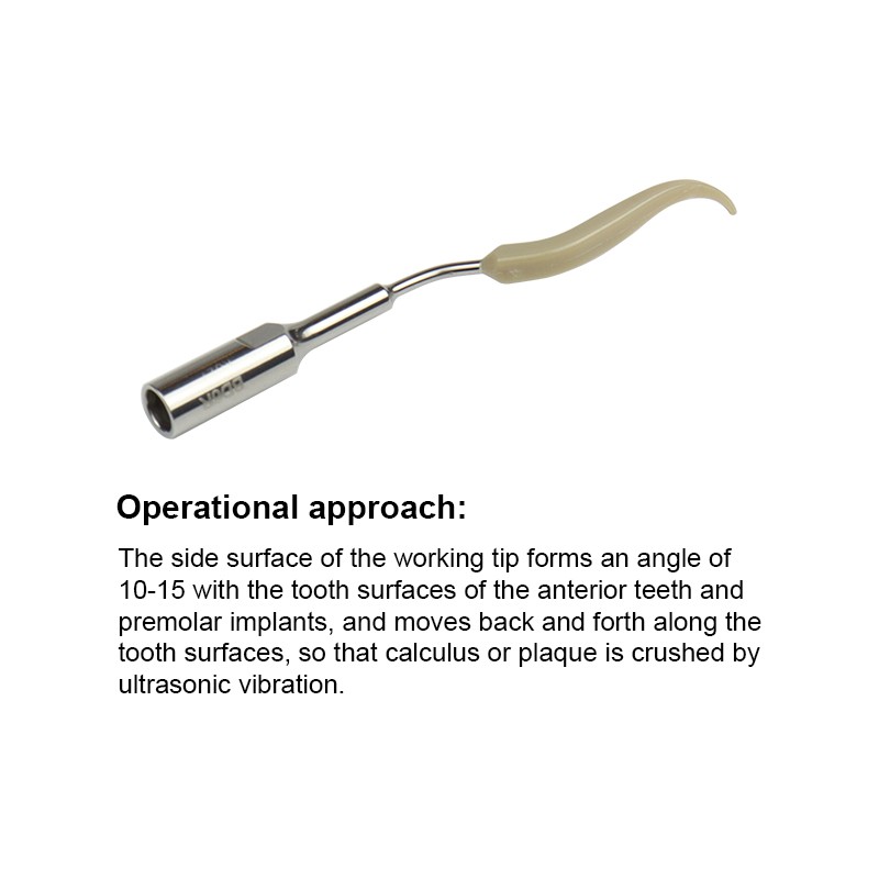 Ultrasonic Dental Scaler Tips Cleaning Implant Orthodontic Fit for SATELEC / DTE