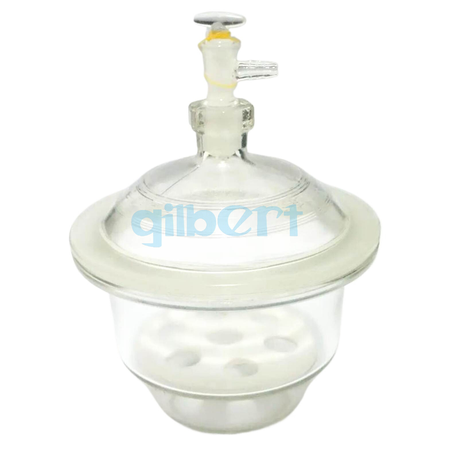 150/180/210mm Boro Glass Vacuum Drier Desiccator Jar Lab Dessicator Dryer