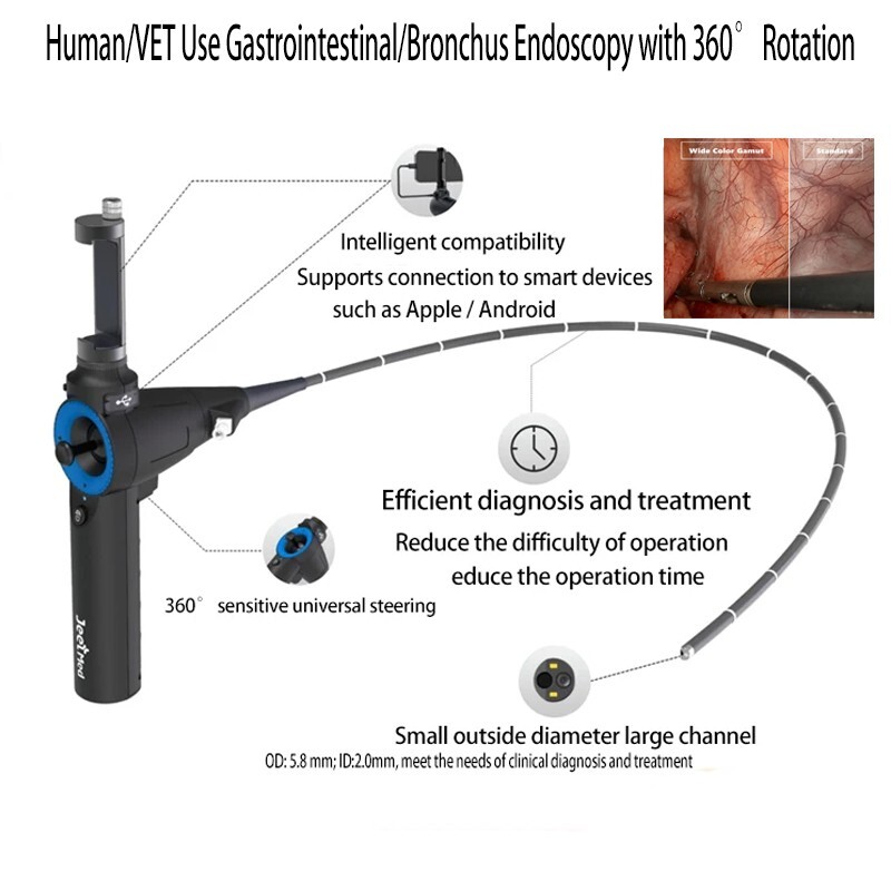 Human/VET Use gastrointestinal/bronchus endoscopy with 360° rotation