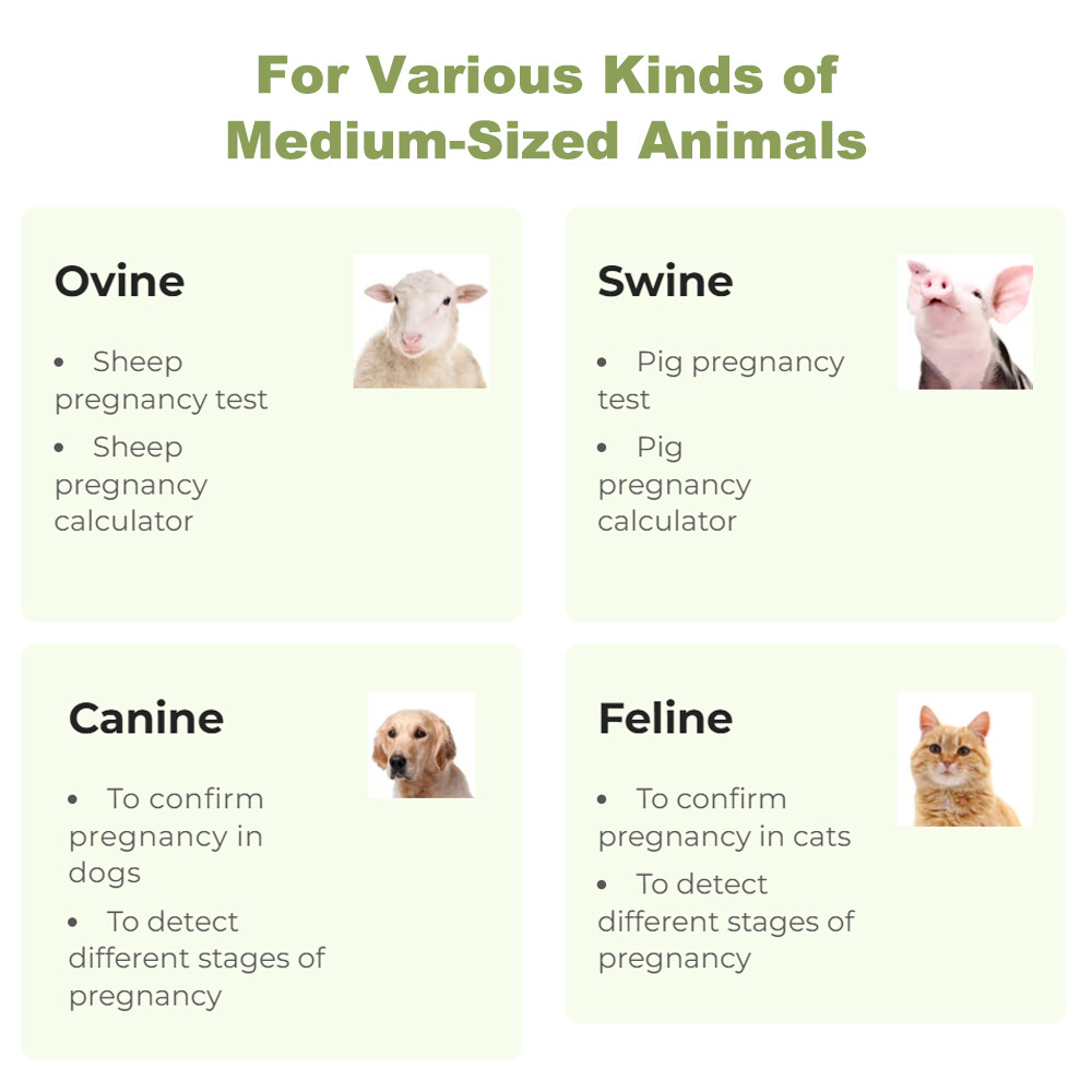 Veterinary Ultrasound Machine – Pregnancy Detection In Dogs, Pigs, Goats, Sheep