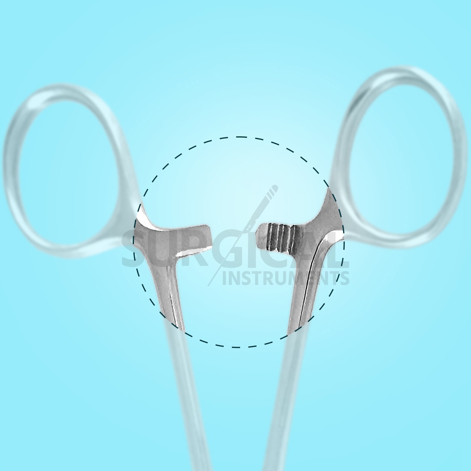12 Pcs Kelly Hemostat Forceps 5.5″ Surgical Dental Curved German Grade