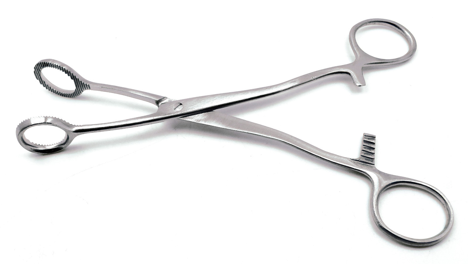 Collins Tongue Seizing Forceps 6.5″ Jaws Wide 20mm Surgical Instruments
