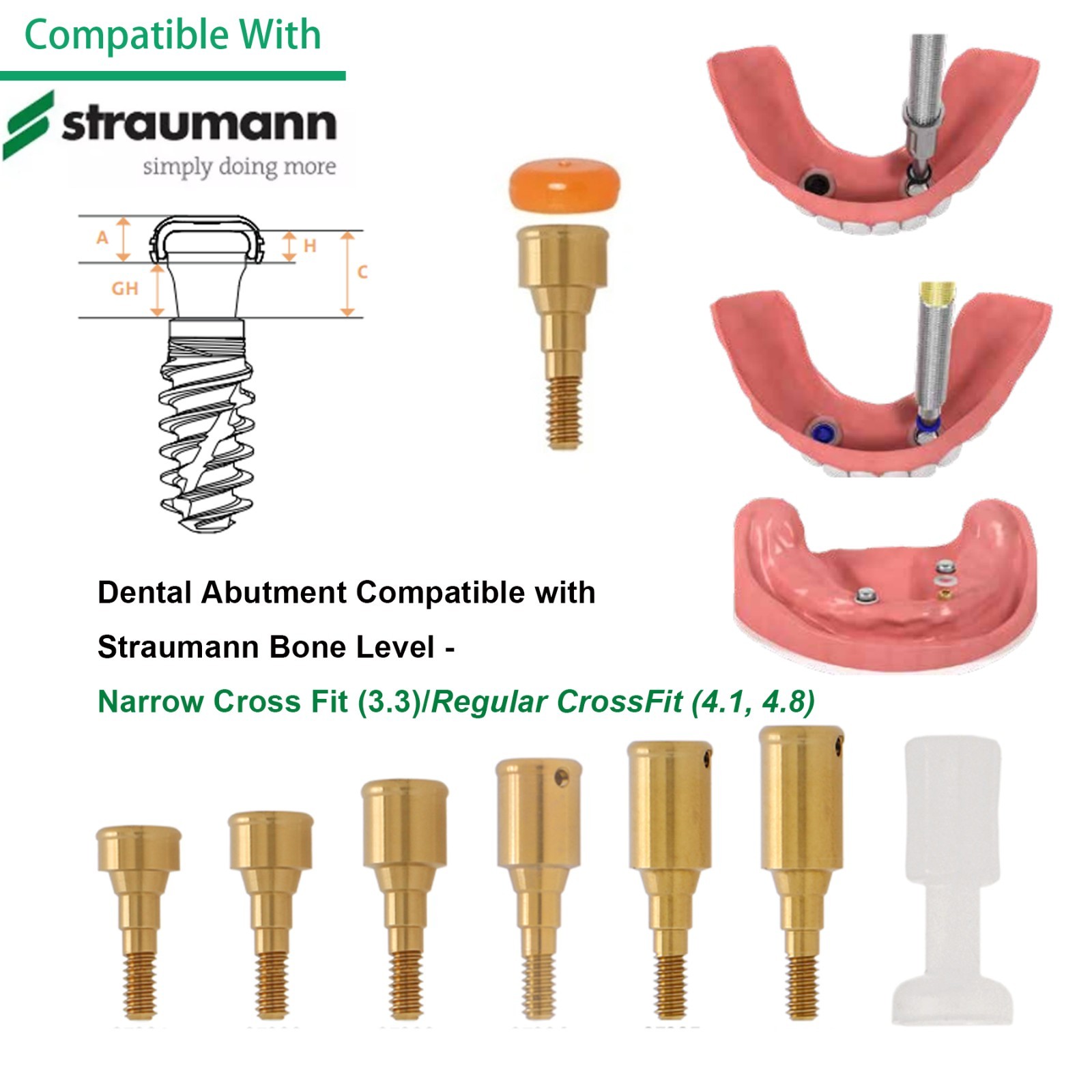 Dental Locator Abutment Compatible Multi Implant Systems Overdenture Attachment