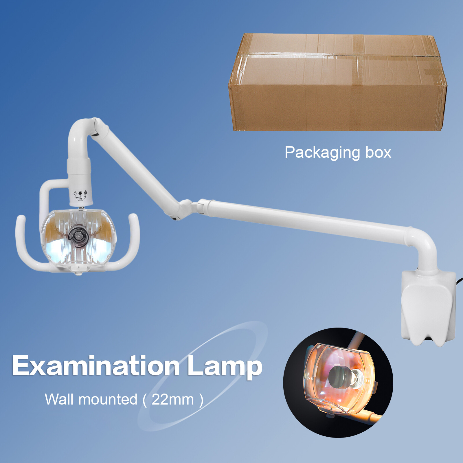 50W Wall-Mounted Dental Surgical Halogen Light Shadowless Lamp Light with Arm US
