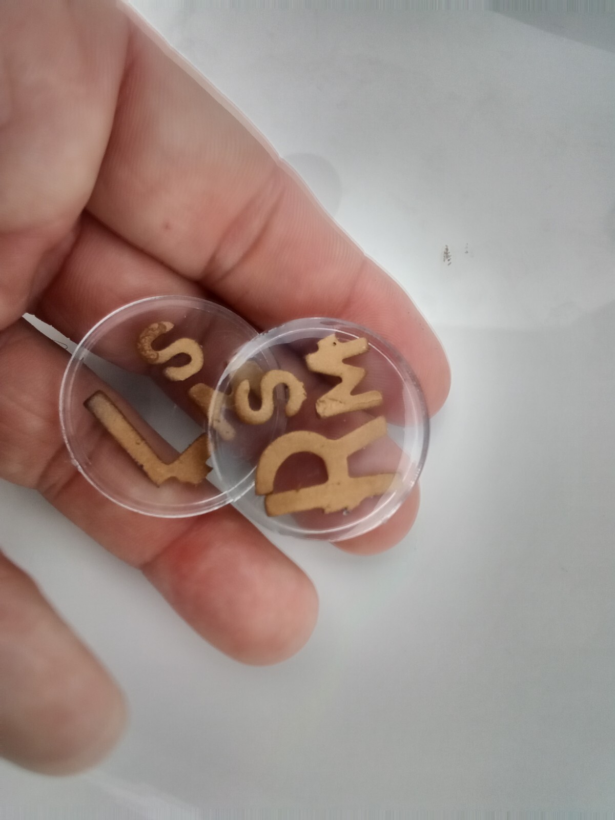 X-ray Markers With Initials (SM) Ready to ship.