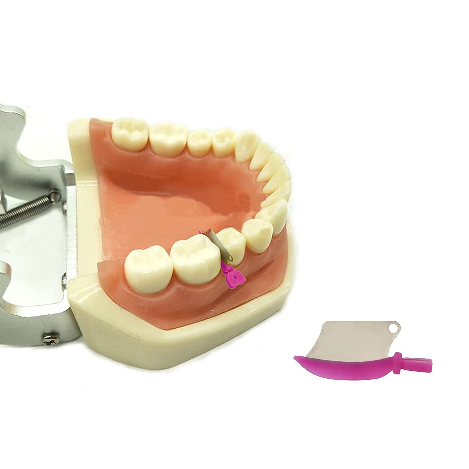 Dental Matrix Fender Wedges Prep Interproximal Diastema Wedge Guard L/M/S 50/Box