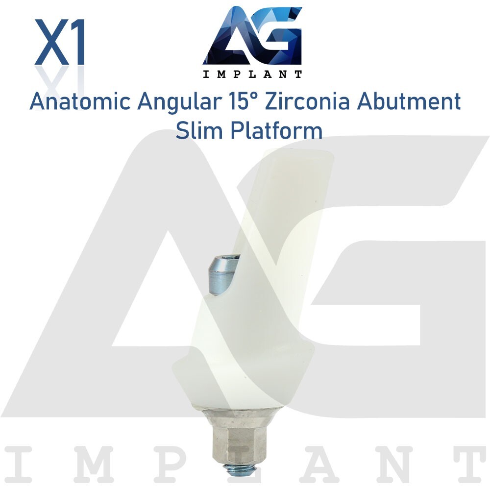 Zirconia Angular Anatomic Prosthetic Slim 15° Titanium Base Hexagon 2.0mm