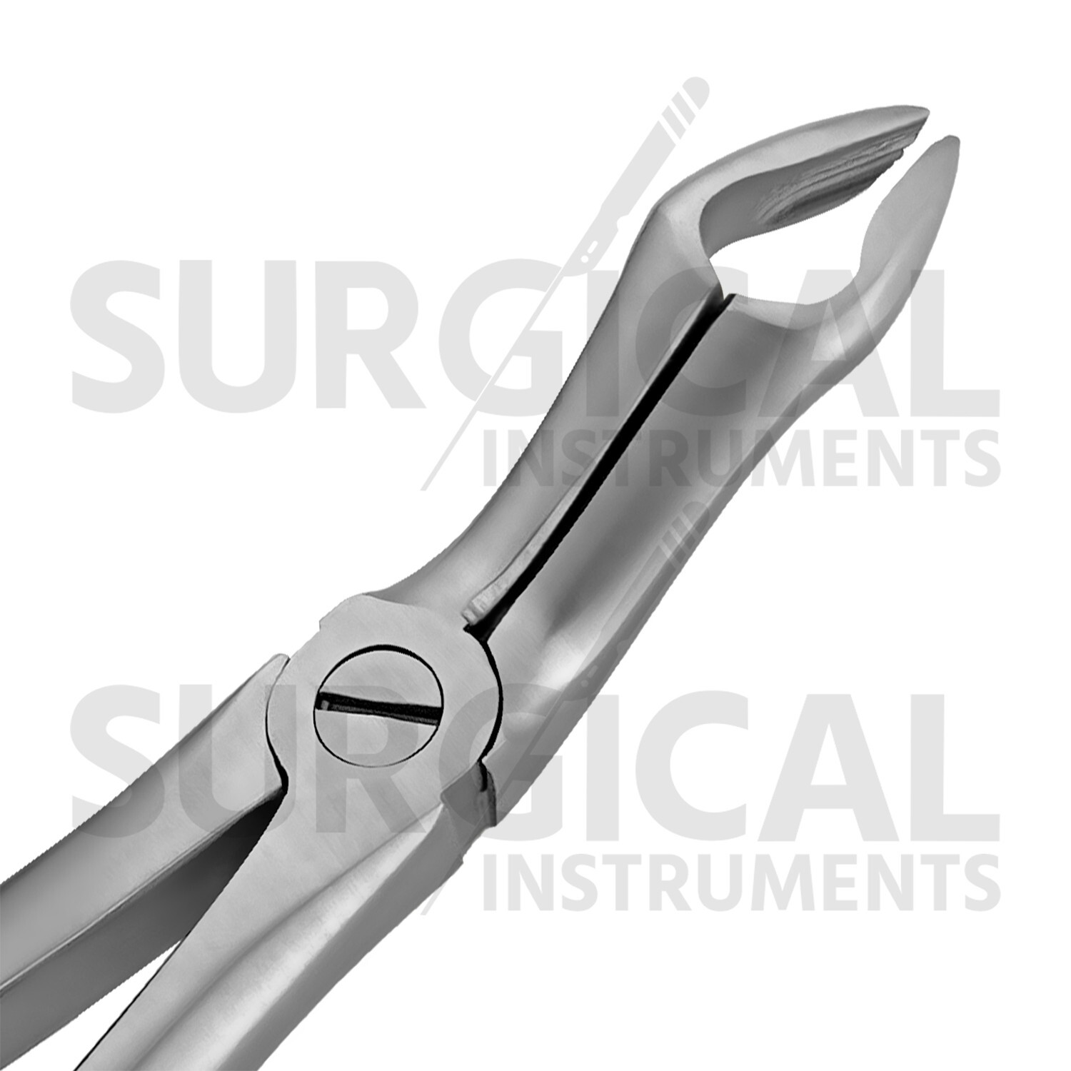 Heavy Duty Stainless Extraction Forceps #67A – Gold Hollow Python Grip German Gr
