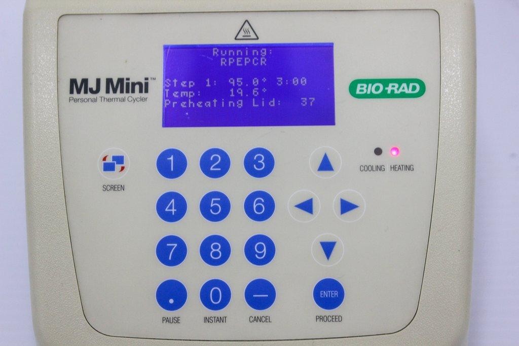 BIO-RAD MJ Mini PTC-1148 Thermal Cycler 100-240V Personal PCR Unit (3372367)