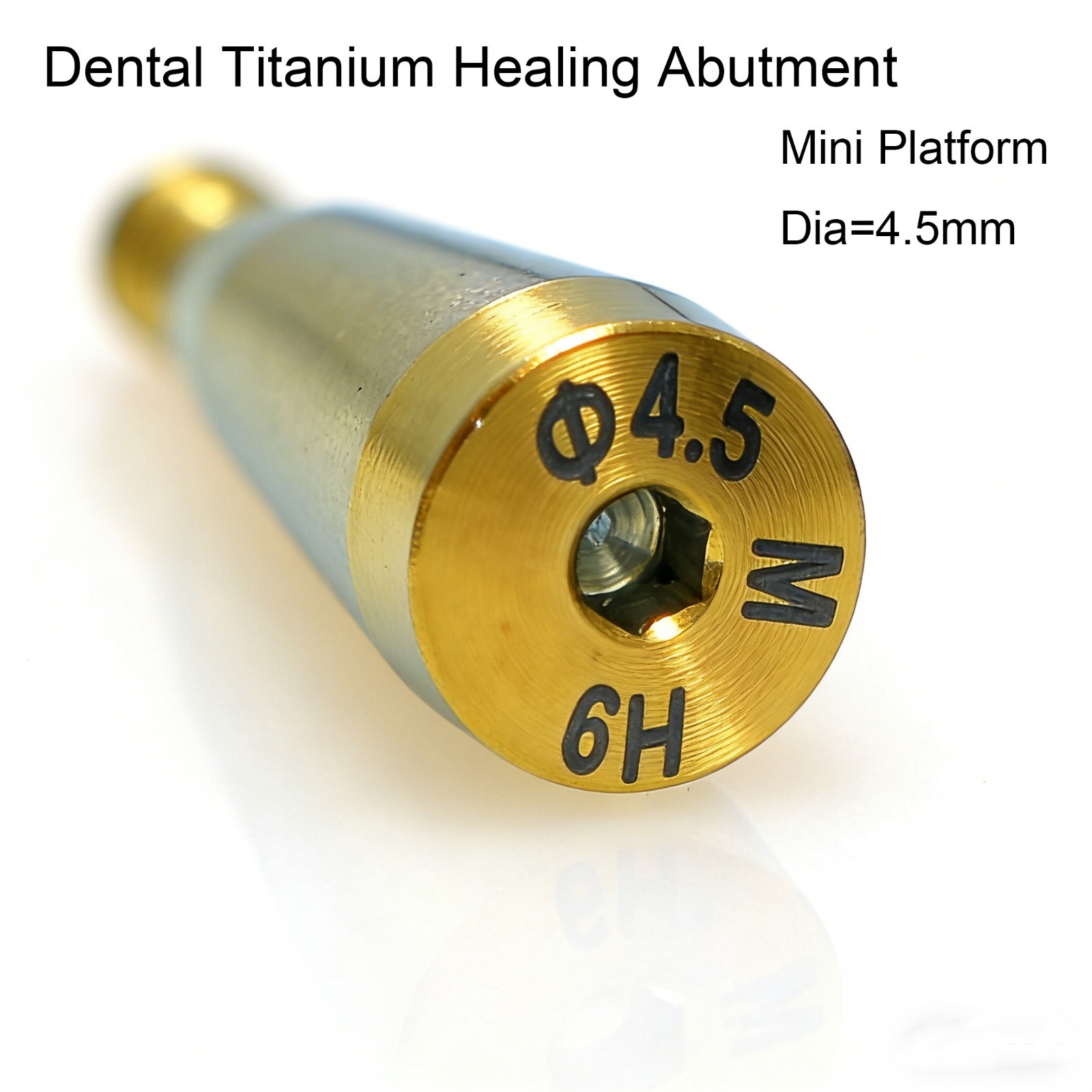 US Osstem Hiossen Dental Healing Abutment Cover Screw Mini Regular Compatible