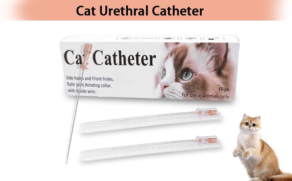 Cat Catheter Urethral Veterinary Instrument Suitable Feline Urethral Care Home