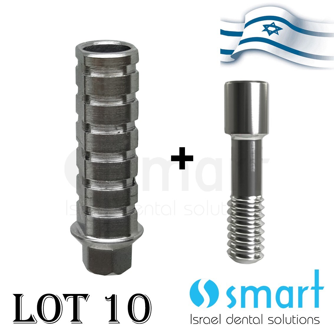 Lotx10 Titanium straight temporary abutment Slim narrow with hex 2.1