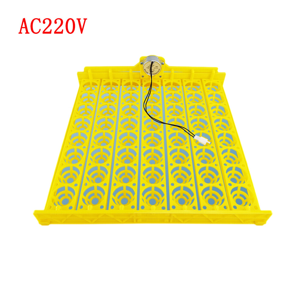 AC220V/110V DC12V 56PCS Eggs Incubator Multifunction Incubator Chicken Eggs Tray