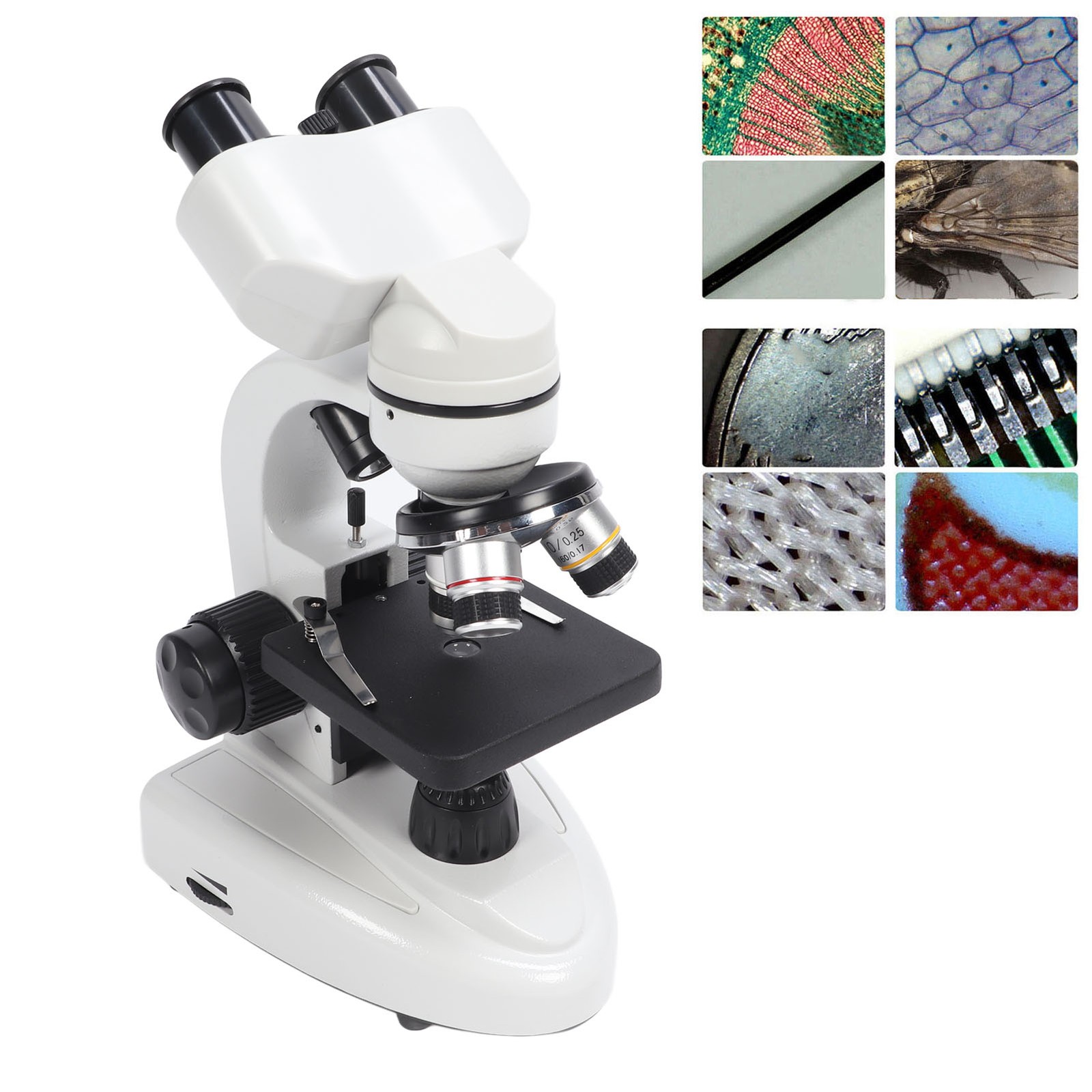 US Plug Binocular Microscope 40X‑5000X 360° Rotation Clear Image High WT