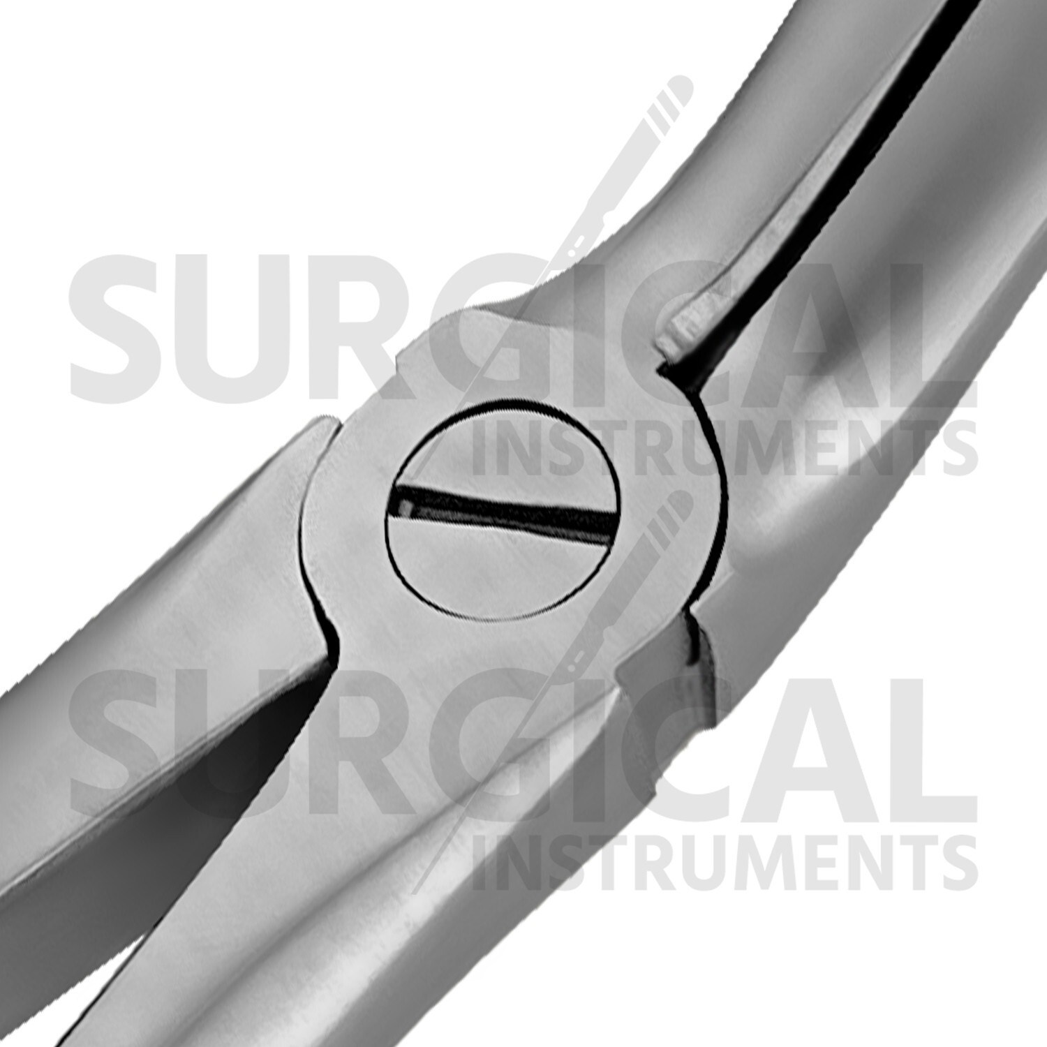 Heavy Duty Stainless Extraction Forceps #67A – Gold Hollow Python Grip German Gr