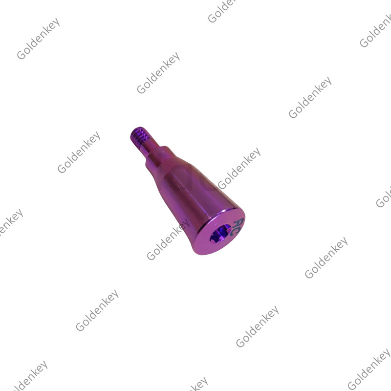 Straumann RC Healing Abutment Closure Cap Titanium Fits ITI BLT Regular Screw