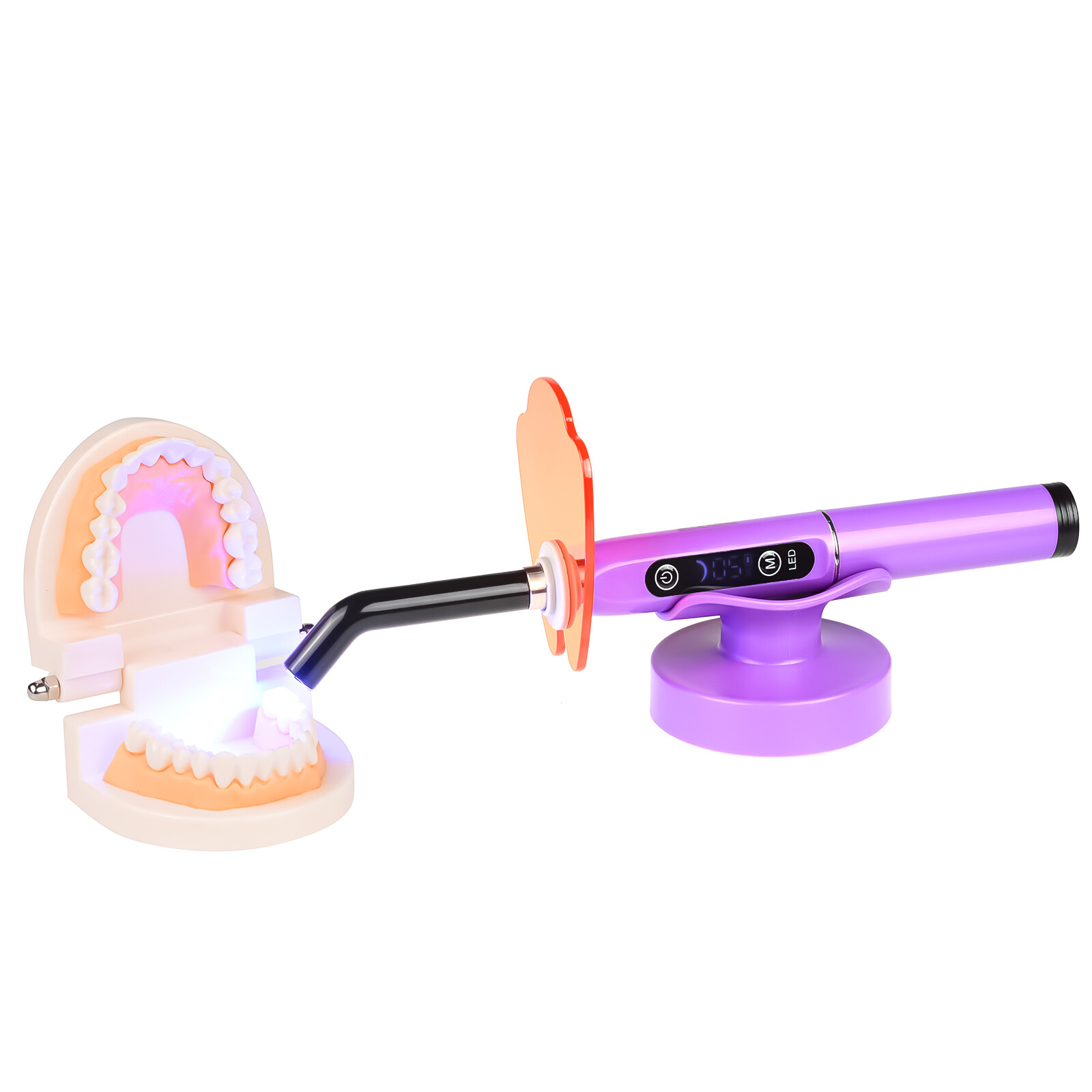 5W Dental High Power Wireless Curing Light 800-2400mw/cm2 Resin LY-A180C Purple