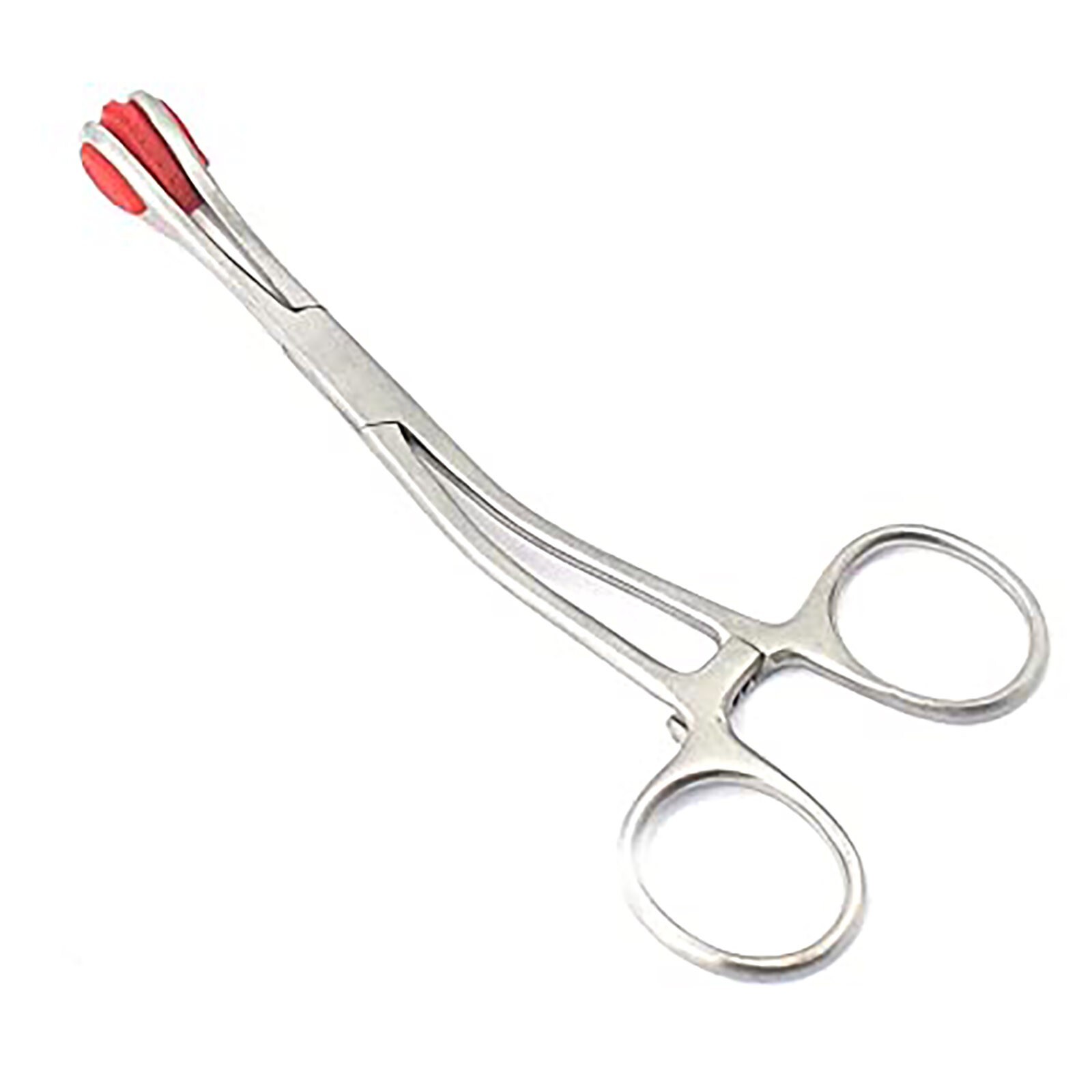 New YOUNG Tongue Seizing Forceps 7″ Surgical Hospital & Veterinary Instruments