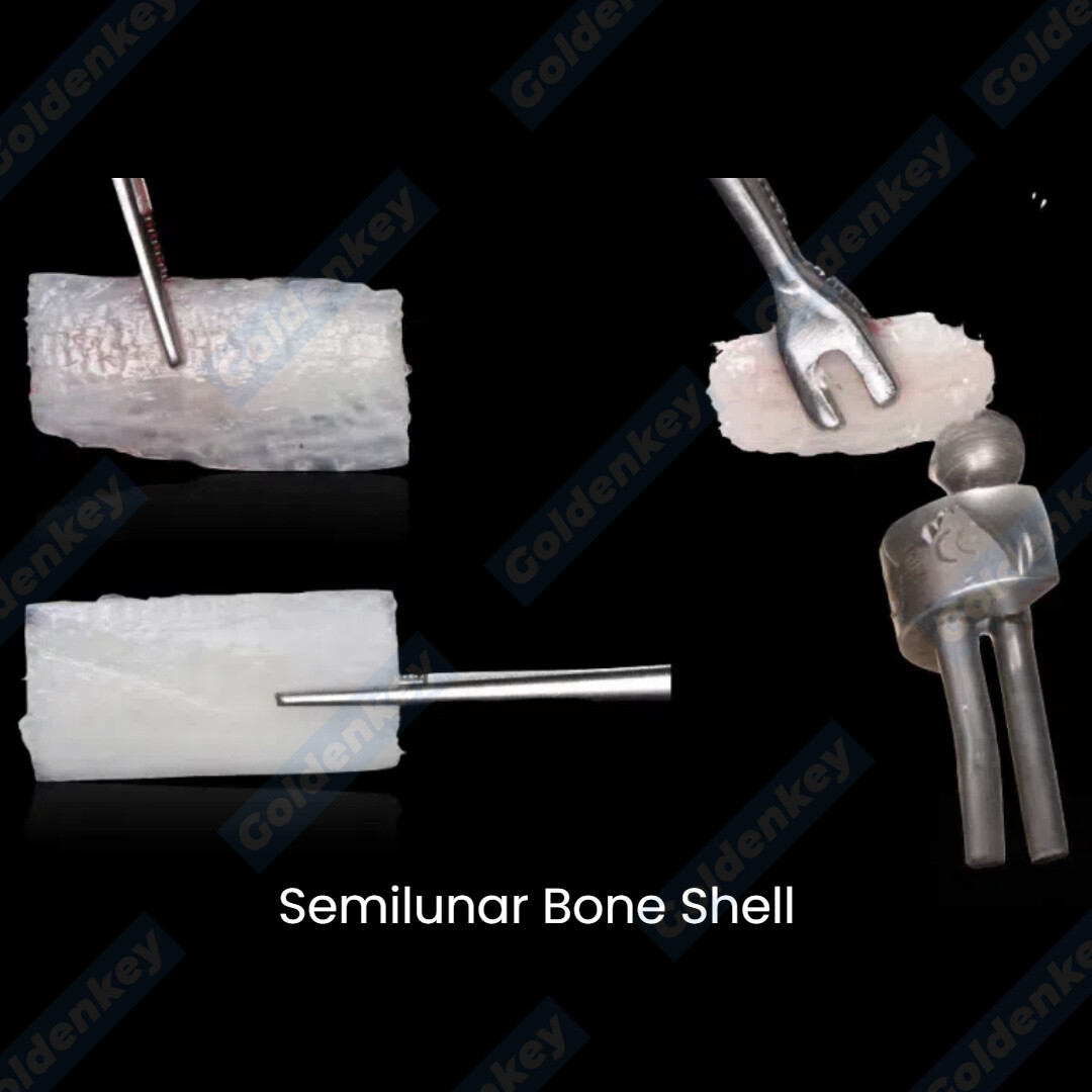 Dental Semilunar Bone Collector Drill GBR SLT Semilunar Techniqu Argumentation