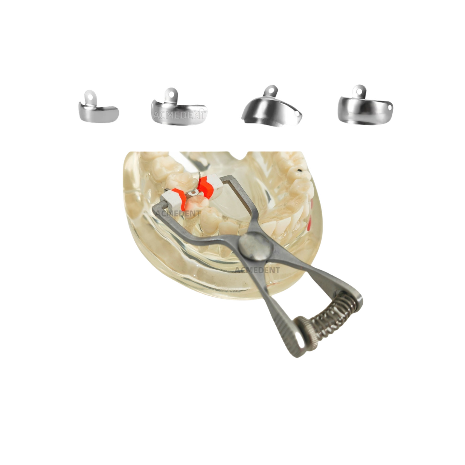 Dental Matrix Ring Big Wide Clamp Titanium Fits Palodent V Garrison Wagotrix