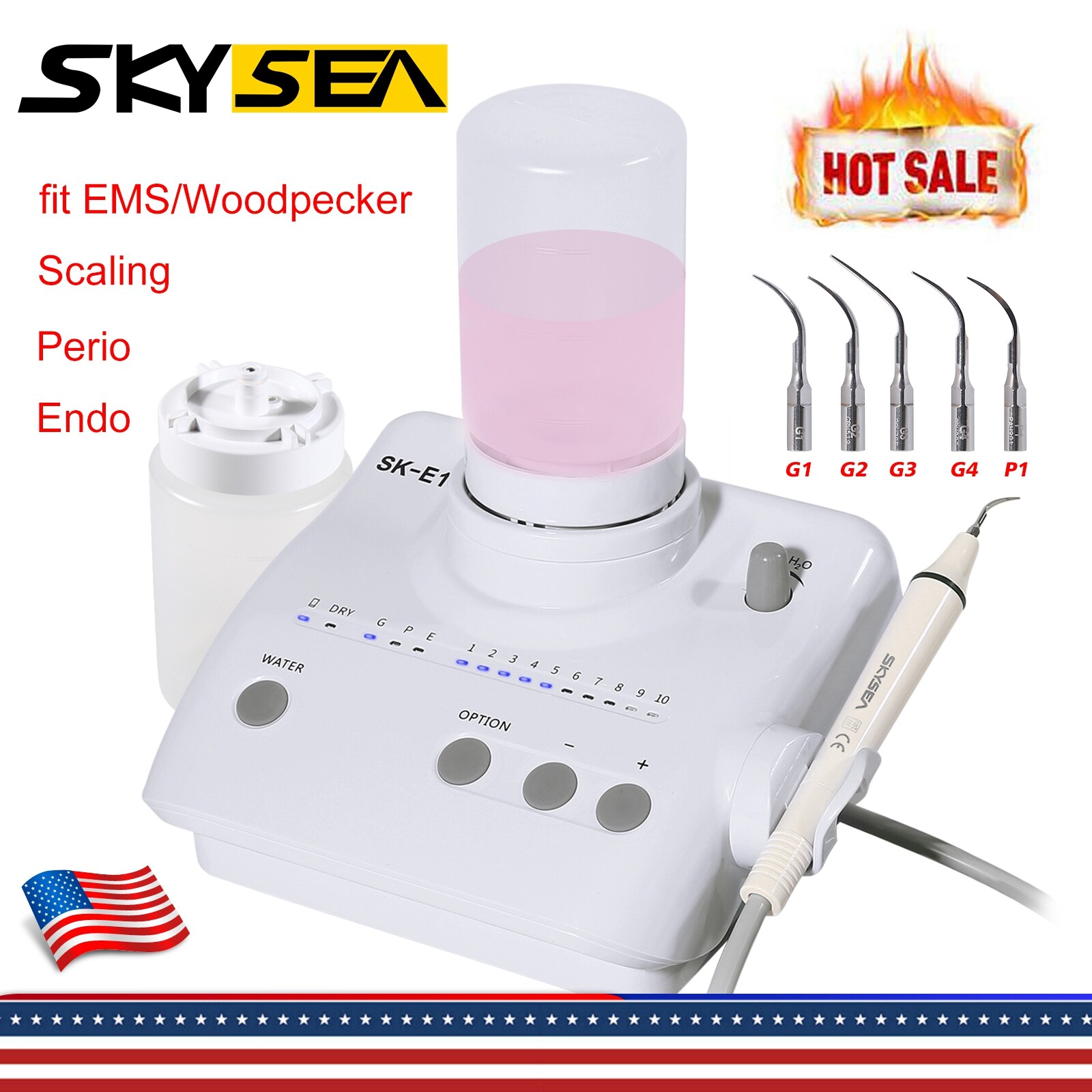 Dental Ultrasonic Scaler Endo Perio Scaling fit EMS SK-E1 FDA +2*Bottles UPS