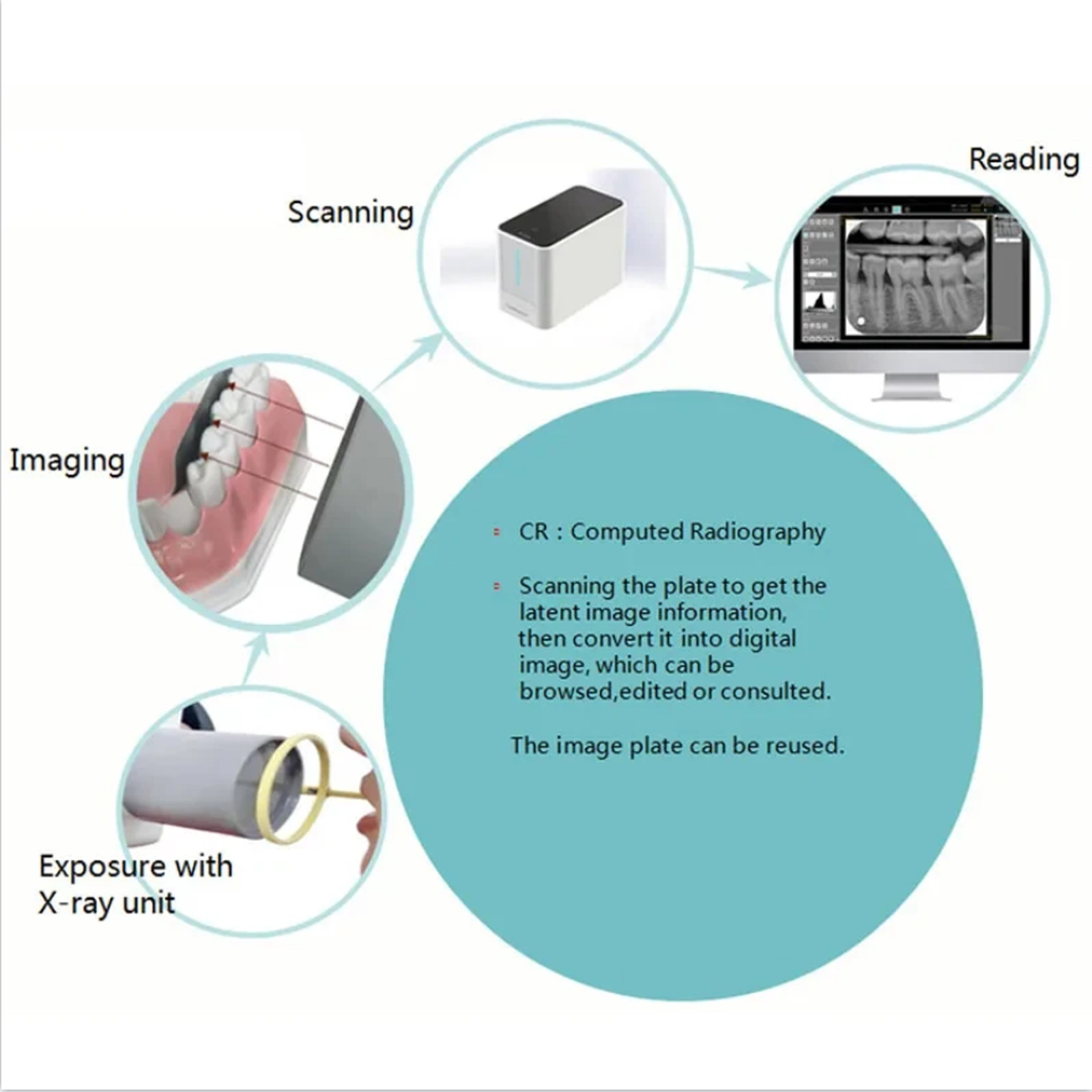 Dental X-ray Phosphor Storage Plates Size 0,1,2 Phosphor Plates Digital Imaging
