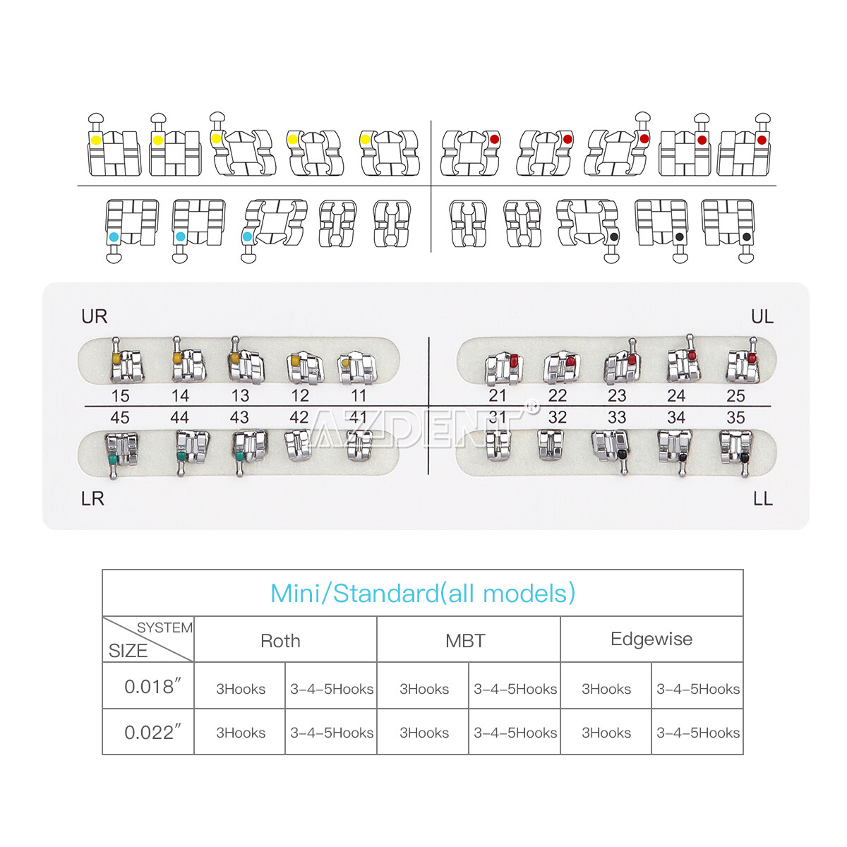 10X AZDENT Dental Orthodontic Brackets Braces Standard Roth.022 Hooks 345 USA