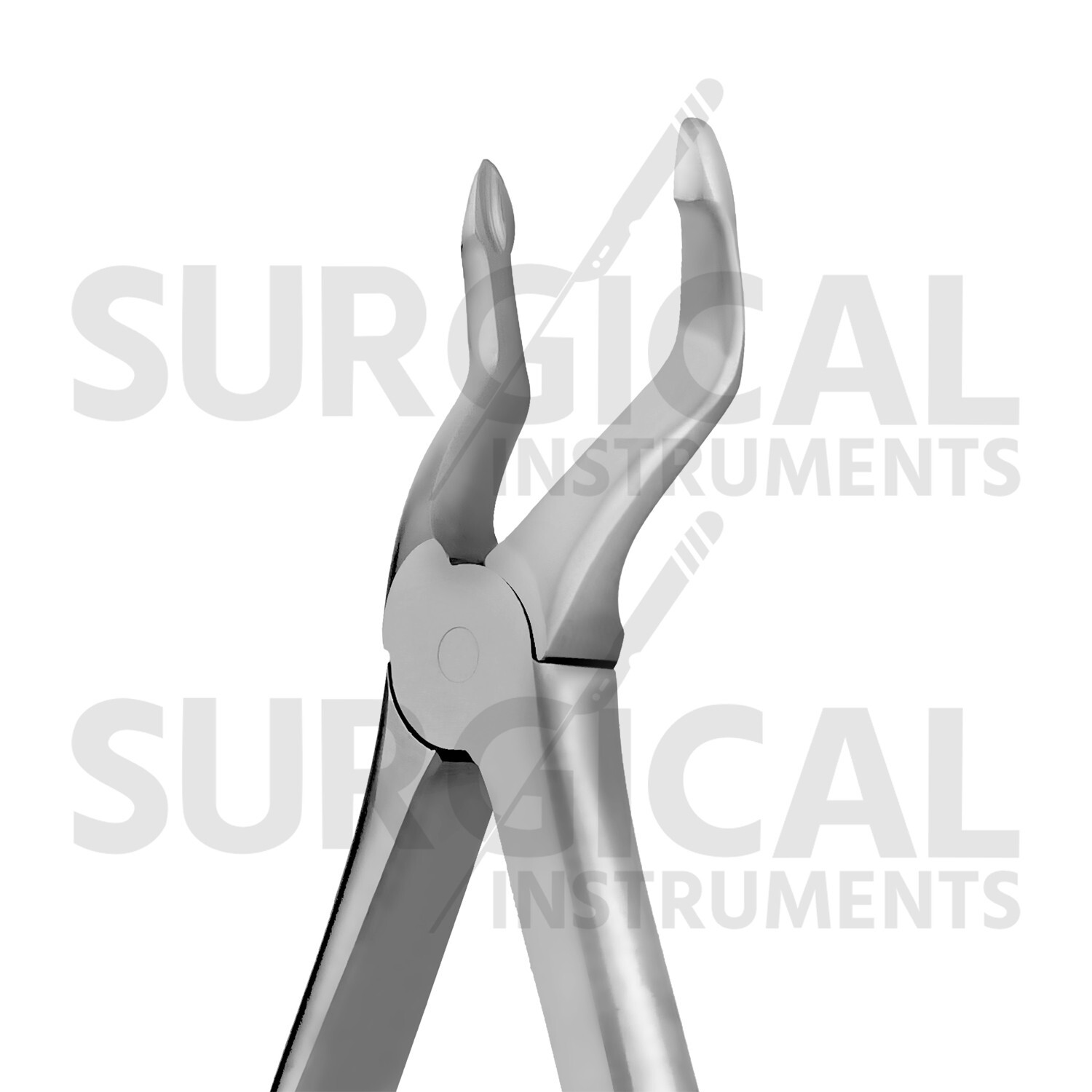 Heavy Duty Extraction Forceps #51Z – Gold Hollow Python Grip Handle German Grade