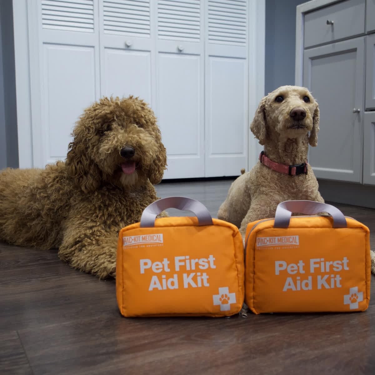 First Aid Only Pac-Kit Pet First Aid Kit For Dogs Cats And Other Animals In