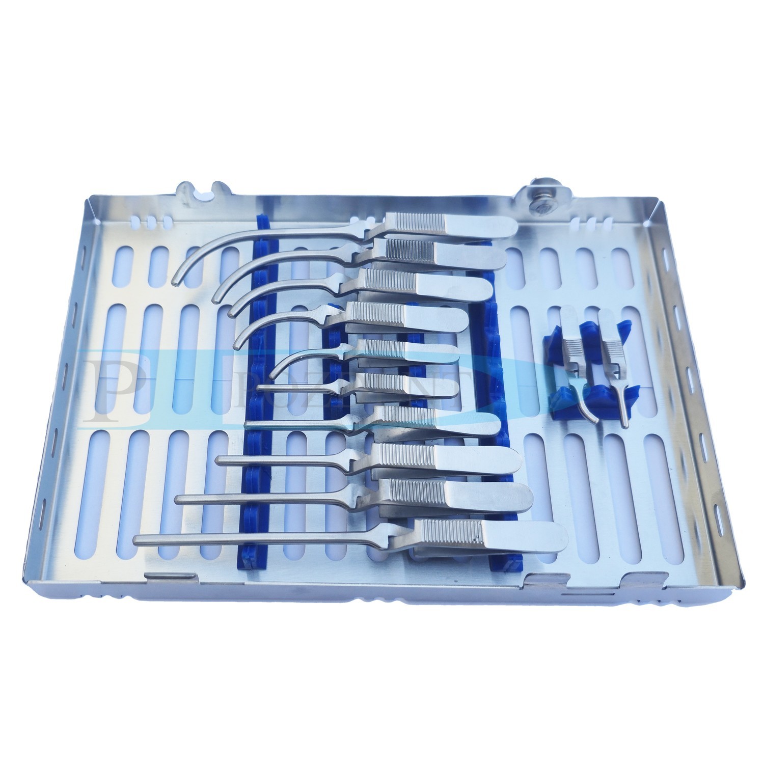 12 Pcs Set of Debakey Vascular Bulldog Clamps with Cassette (Mini To Large Size)