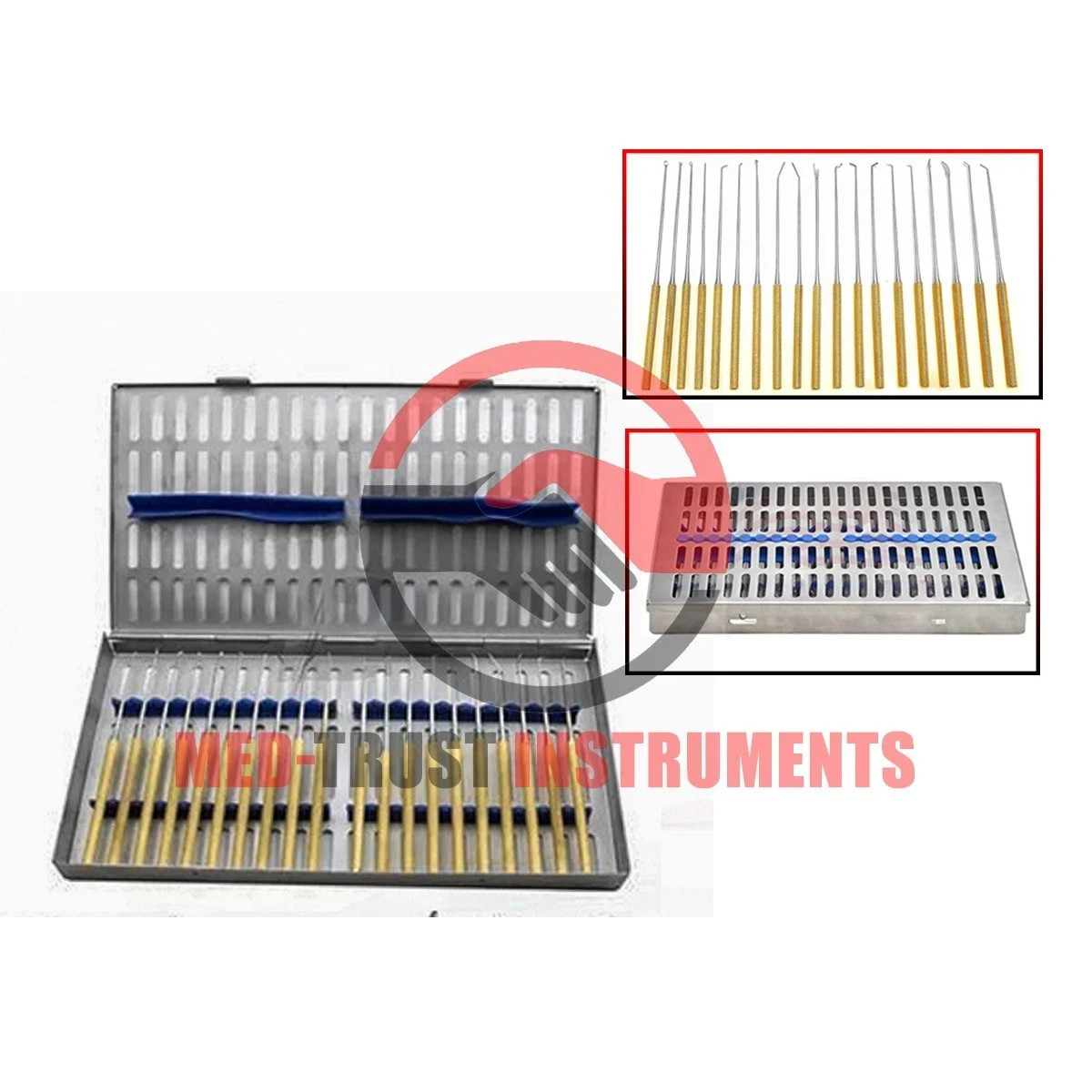 Rhoton micro dissector expanded 20 pcs set Gold with Sterilization Case