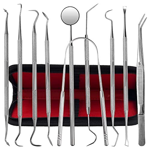 Dental Tools Steel Plaque Remover Teeth Cleaning Oral Care Hygiene Kit, 10 Pack