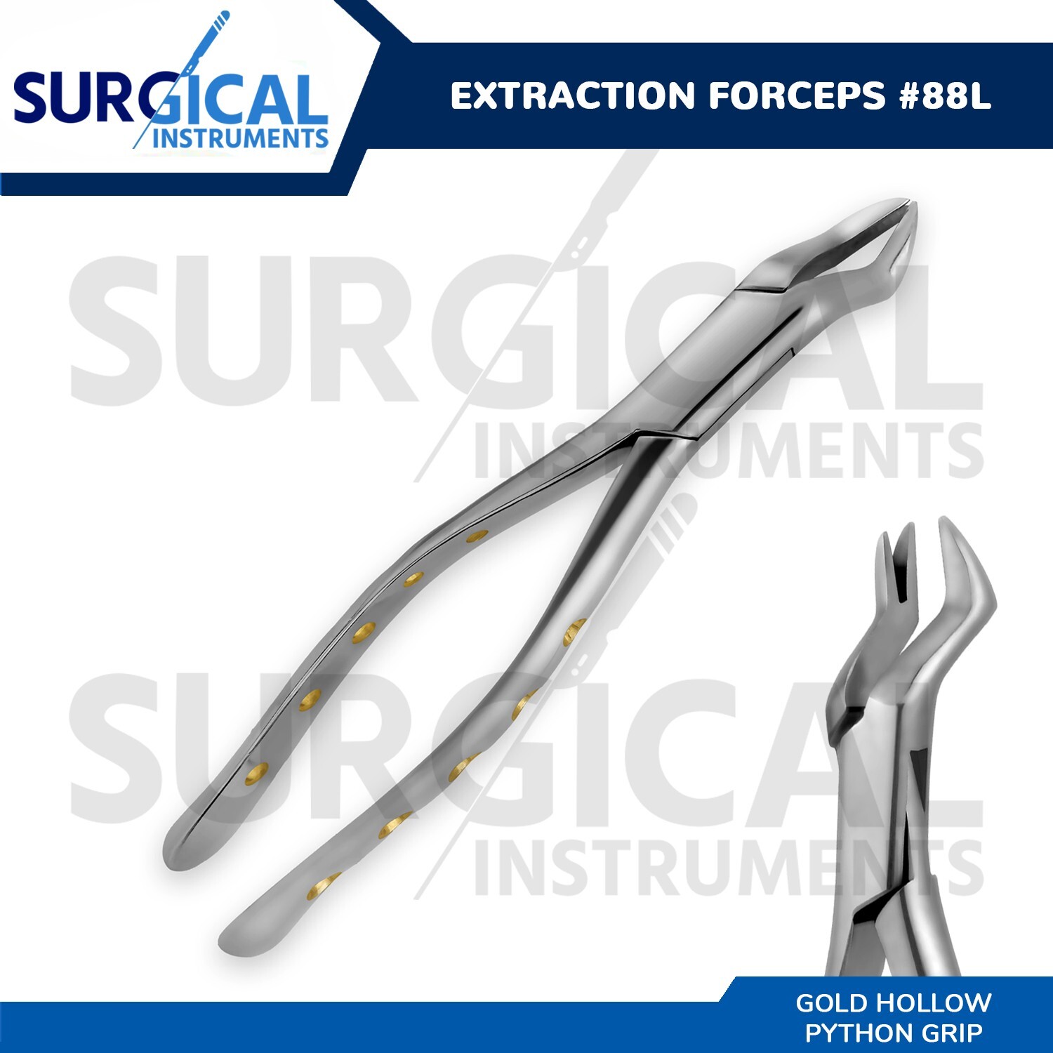 Heavy Duty Stainless Extraction Forceps #88L – Gold Hollow Python Grip German Gr
