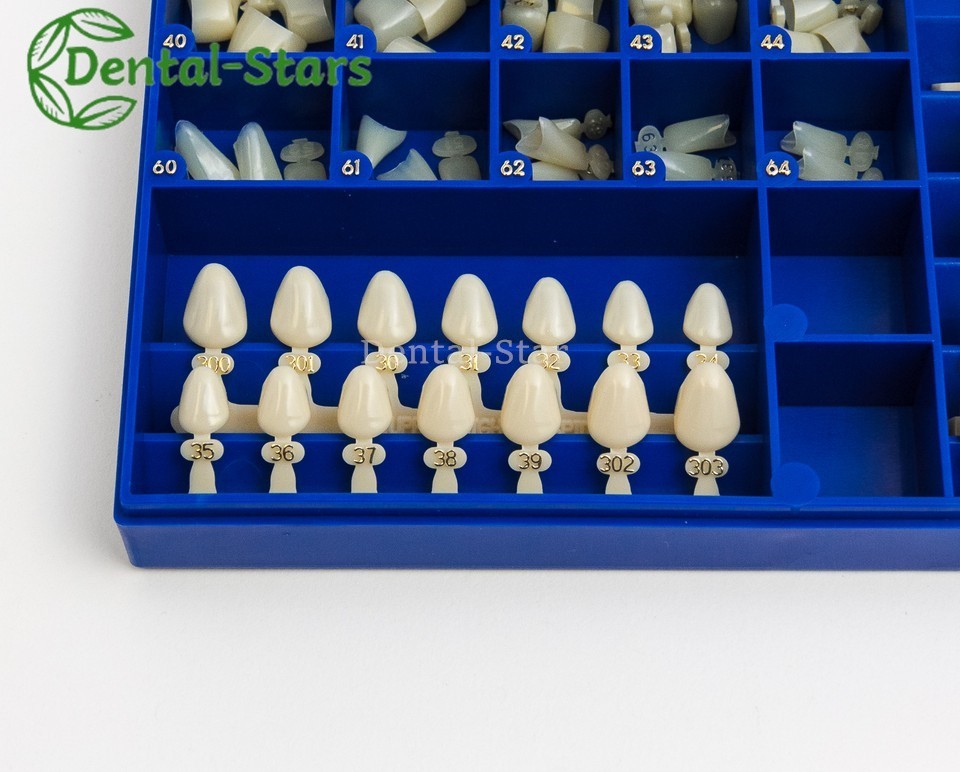 DENTAL POLYCARBONATE TEMPORARY CROWNS 390 PCS 66 SIZES WITH PAPER GUIDE CHART