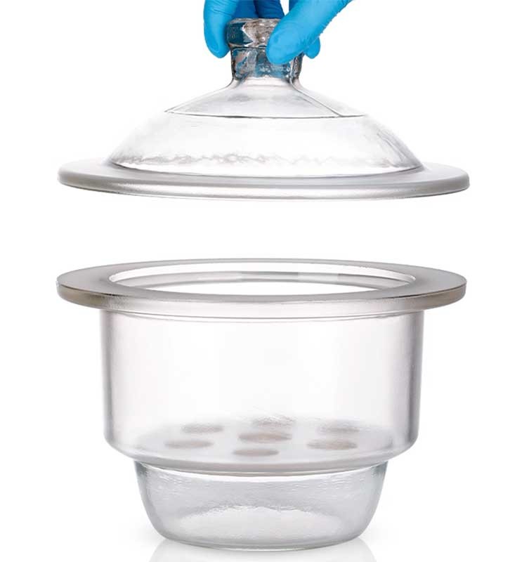 Vacuum Glass Desiccator Lab Equipment Dry Storage Container Transparent 210mm