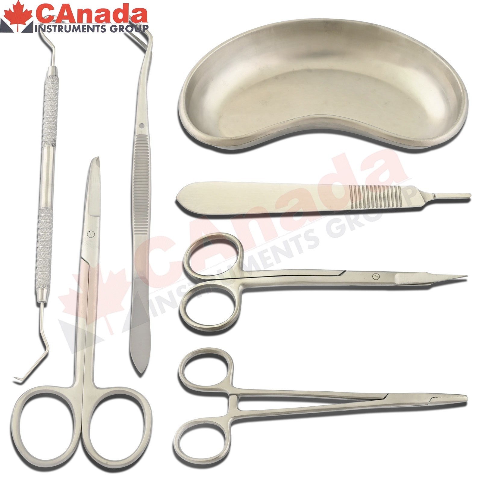 Veterinary Suture Removal Special Tray Kit Stitch Scissors Dressing Forceps Set