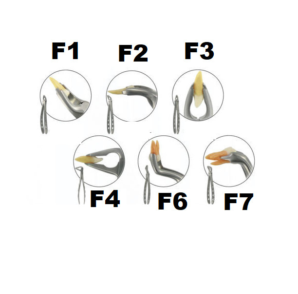 REDLAND DENTAL ATRAUMATIC EXTRACTION FORCEPS SET GOLDLINE
