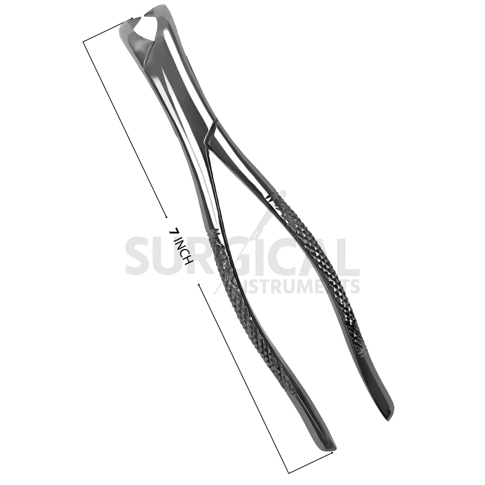 Dental Tooth Extracting Forceps #23 Cow Horn Lower Molar Stainless German Grade