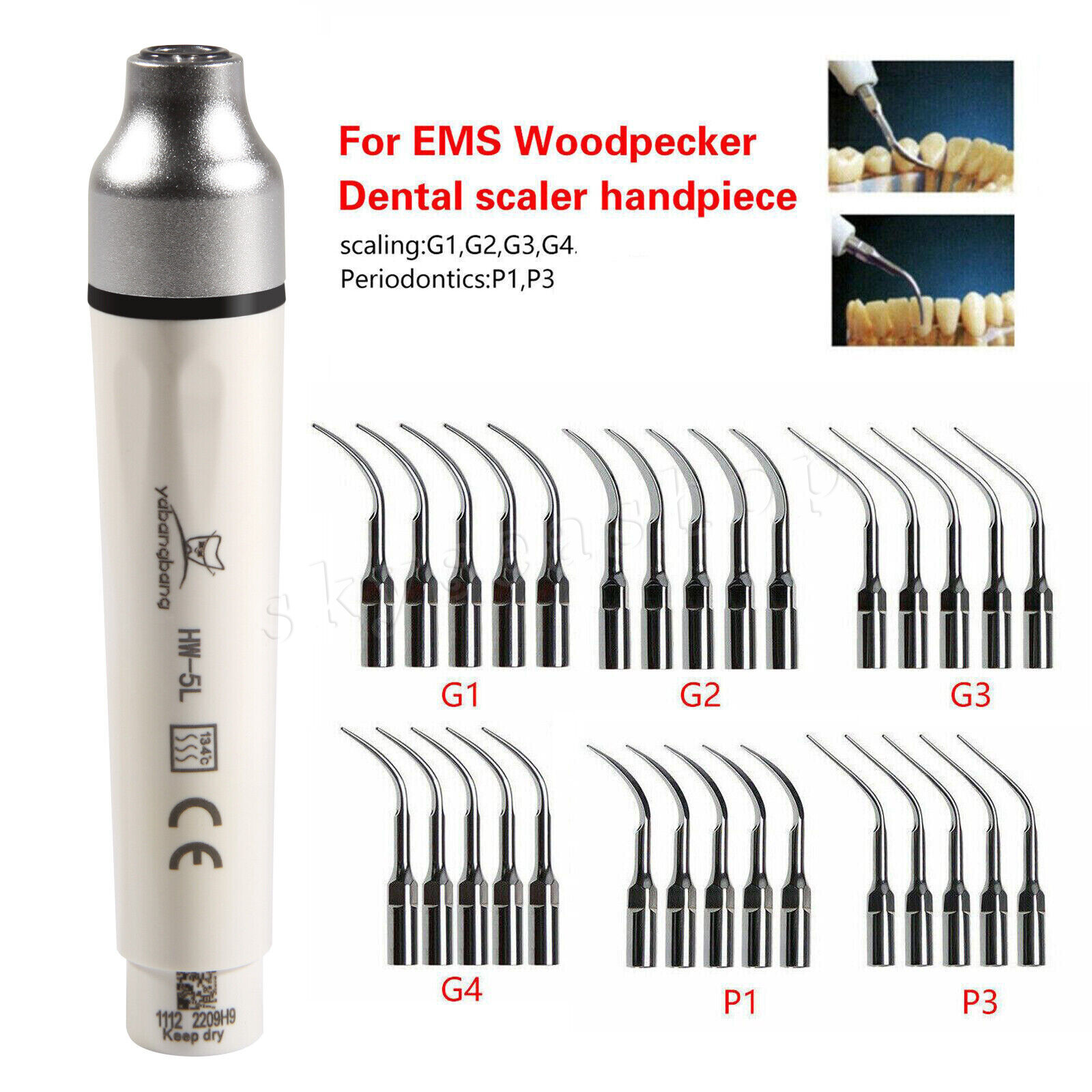 HW-5L Dental LED Ultrasonic Piezo Scaler Handpiece Fit Woodpecker EMS Tips