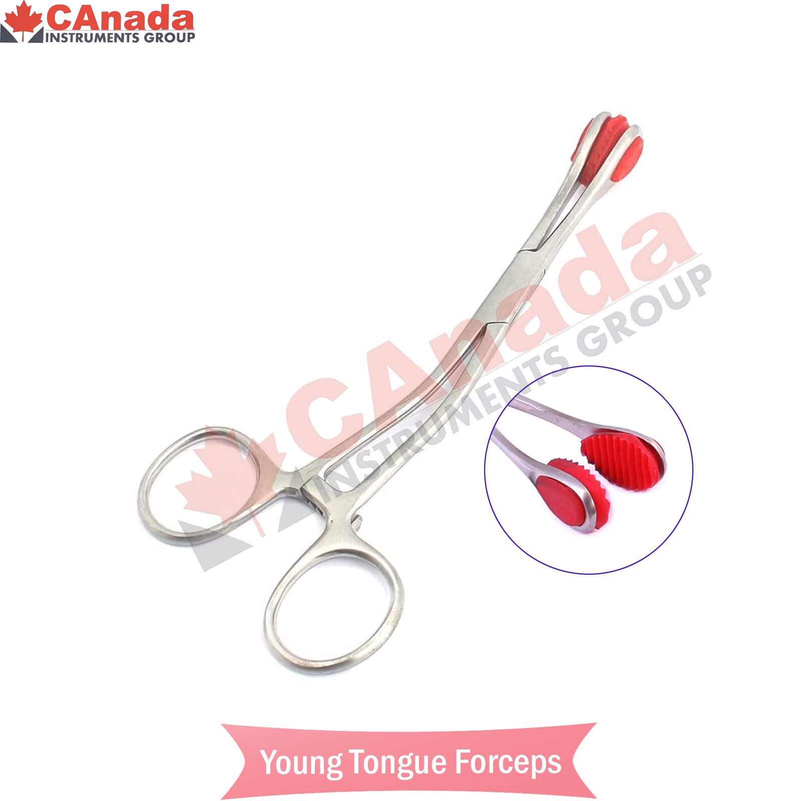 YOUNG Tongue Seizing Forceps Surgical Hospital & Veterinary Instruments