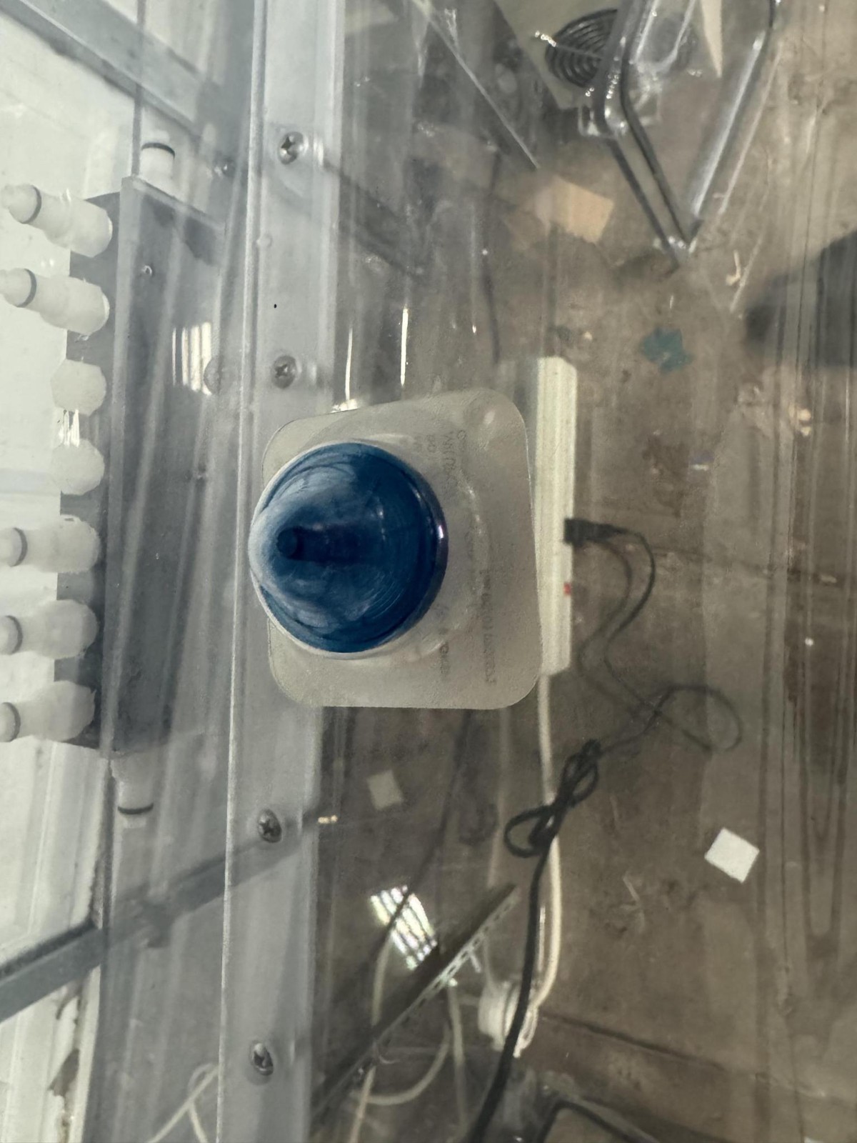 Coy RC09-032 Rigid Hypoxic Glove Box + Purge | O₂/CO₂/Humidity, Calibrator