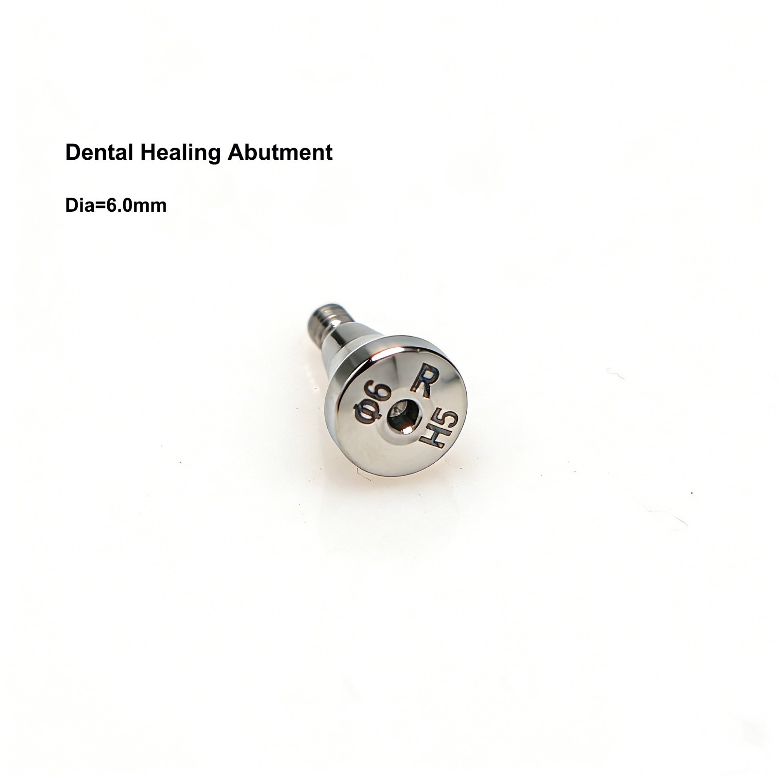 US Osstem Hiossen Dental Healing Abutment Cover Screw Mini Regular Compatible