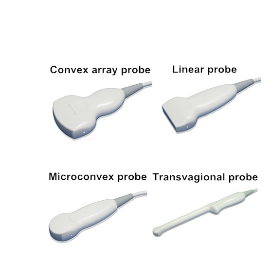 Portable 12 inch laptop ultrasound with color Doppler and four selectable probes