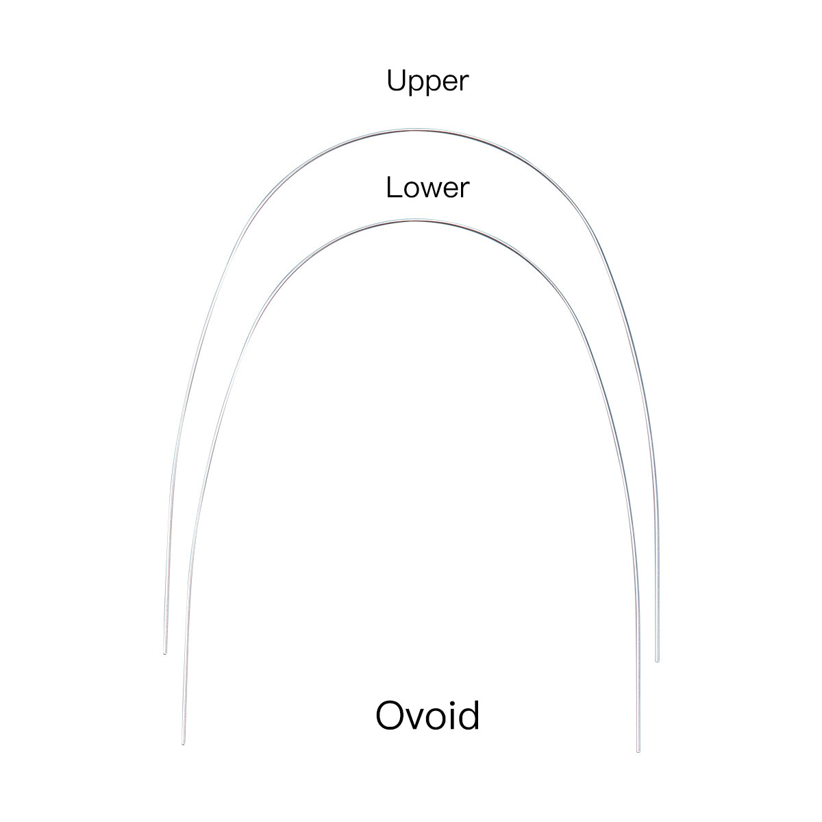 AZDENT Dental Orthodontic Supper Elastic Niti Round Arch Wire 012Upper/ 020Lower