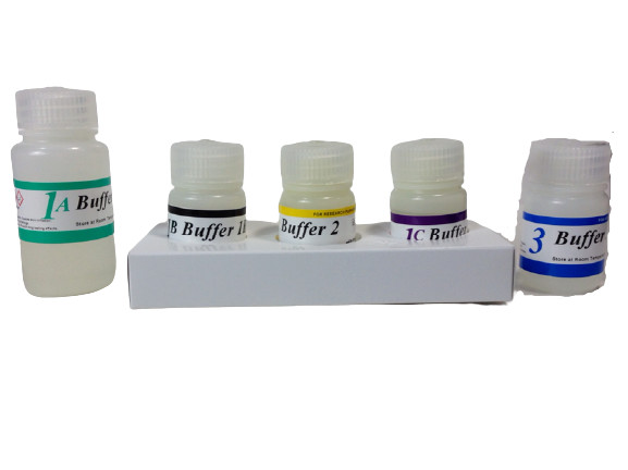 PURIFICATION KIT VIBE EXP 09/2019